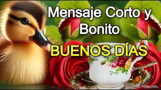 🌞MIRA este video Mensaje de BUENOS DÍAS🦋 Saludos de buenos días Frases Reflexión Feliz día [upl. by Gnouh]