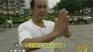 Choy Li Fut documentary  youku [upl. by Phyllis44]