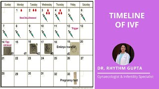 Timeline of IVF Explained Correctly  Dr Rhythm Gupta  Fertility Specialist [upl. by Amirak]