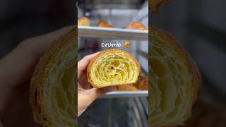 DIML Pastry Chef in Mumbai India 🇮🇳 Day 5 Vlog 🥐🥨 focaccia amp croissants pastry diml dessert [upl. by Pulchia]