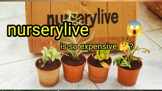 nurserylive plants unboxing Review succulents adenium naturelover [upl. by Obie]