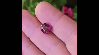 rhodolite garnet 459ct [upl. by Yorel678]