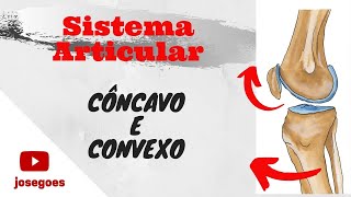 Sistema Articular  Côncavo e Convexo [upl. by Aneryc]