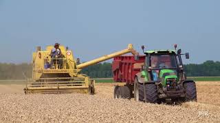 Leo Overbeeke “Diderot“ combinen met de NewHolland Clayson1530 transport Marien Westerink [upl. by Macmahon361]