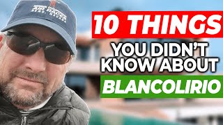 10 Things You Didnt Know About Blancolirio [upl. by Eddy]