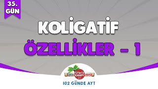 📌35GÜN l Koligatif Özellikler  1🤓 Kimya Adası aytkimya [upl. by Eachelle]