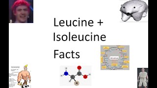 Some Super Quick Facts About Leucine and Isoleucine [upl. by Ashling140]