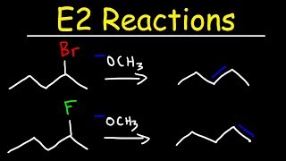 E2 Reaction Mechanism  Hoffman Elimination vs Zaitsevs Rule [upl. by Airetal]