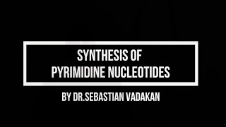 Synthesis of pyrimidine nucleotides [upl. by Kerns]