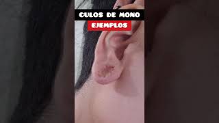 🔴 ¿QUE SON LOS CVLOS DE MONO EN LAS OREJAS DILATADAS dilataciones expansiones piercings [upl. by Gilbart]