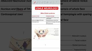 Millard Gubler syndrome usmle usmlepreparation usmlestep1videos [upl. by Nomled]