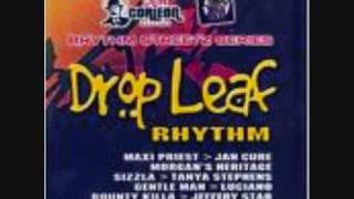 Drop Leaf Riddim Mix [upl. by Ardnosac]