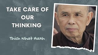 Thich Nhat Hanh  Take Care Of Our Thinking [upl. by Meggie761]