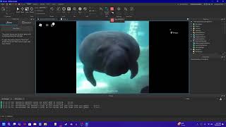 manatee jumpscare [upl. by Anairotciv387]