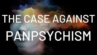 The Case Against Panpsychism w Dr Jim Madden [upl. by Nelson613]