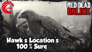 Hawks Locations rdr2 Online  Red Dead Online Hawks Location Guide [upl. by Asillim]