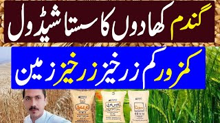 Wheat Fertilizer Plan 2024  Cheap Fertilizer Plan For Wheat  Kissan Pskistan [upl. by Ytirahc436]