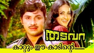 Kadum Ee Kaadinte  Thadavara  Superhit Malayalam Movie Song [upl. by Armillia209]