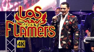 Los Flamers  Flamazos De Exitos en vivo 4K [upl. by Assilim898]