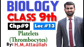 Platelets  thrombocytes Smart syllabus  Chapter 9  9th class Biology  Lec 13 [upl. by Rebmyk]