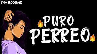 PURO PERREO 9🔥 BRASILERO 2019 MARCOS RMX [upl. by Artur762]