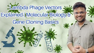 Lambda Phage Vectors Explained  Molecular Biology amp Gene Cloning Basics [upl. by Akitnahs]