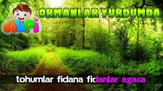 Tohumlar Fidana Fidanlar Ağaca Ağaçlar Ormana Dönmeli Yurdumda Şarkısı [upl. by Eerdua]