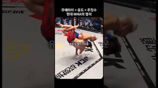 플라잉니킥  유도식 테익다운  주짓수 완벽한 MMA의 정석 [upl. by Christianson]