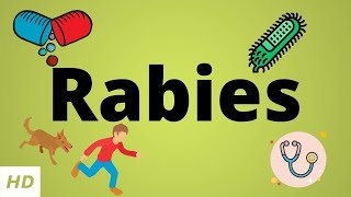 Rabies Causes SIgn and Symptoms Diagnosis and Treatment [upl. by Ilona285]