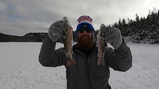 Ice Fishing For Brook Trout in Newfoundland  Campfire Cooking [upl. by Frasco]