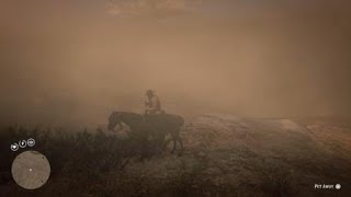 Red Dead Redemption 2  RDR2  ROUGHLEGGED HAWK  LOCATION  ZOOLOGIST 70  GOOD SPOT 2 HAWKS [upl. by Ahsina]