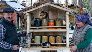 Making a DIY Wooden Bird Feeder  Helping Birds During Winter [upl. by Robinet]