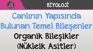 Canlının Yapısında Bulunan Temel Bileşenler  Organik Bileşikler Nükleik Asitler [upl. by Hashum]