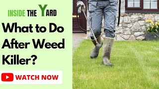 Step By Step Process What to Do After Weed Killer [upl. by Selestina39]