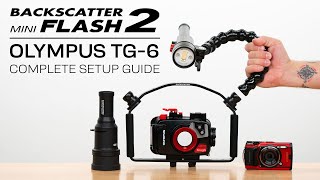 How To Use Backscatter Mini Flash 2 amp Olympus TG6  Complete Setup Guide underwaterphotography [upl. by Ariana196]