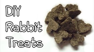 How To Make Homemade Rabbit Treats [upl. by Nwahsar]