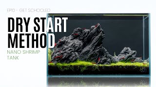 The Fastest Aquascape and Nano Planted Tank Dry Start Method  EP11 Get Schooled [upl. by Joachima]