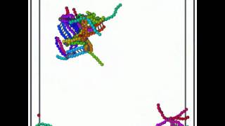 Selfassembly of DNA icosahedron [upl. by Aurelius]