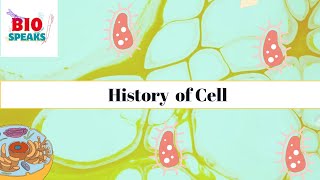 The History of Cells From Hooke to Cell Theory Explained  Cell  Robert  IGCSE  Grade 6 [upl. by Yatnwahs153]