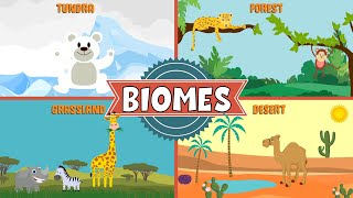 Biomes of the World  Types of Biomes  Video for Kids [upl. by Icam]