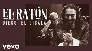 Diego El Cigala  El Ratón Cover Audio [upl. by Arakihc391]