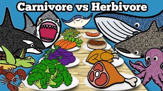 Carnivore vs Herbivore Sea Animals  Lets Draw amp Color Sharks amp Whales and Learn Fun Animal Facts [upl. by Ikuy]