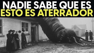 ¡El NUEVO Descubrimiento ATERRADOR En Congo Que Asusta A Los Científicos [upl. by Teodorico]