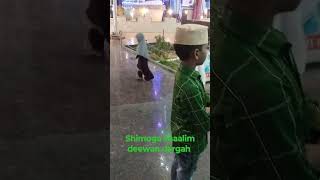 shimoga shaalim deewan dargah reels funny [upl. by Michiko]