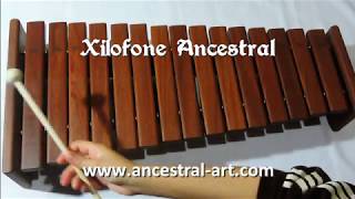 Testando o som do Xilofone Ancestral 15 notas [upl. by Pagas]