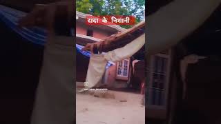 duvara janta darbar lagela reels bhojpuri bhojpurimusic [upl. by Nattie74]