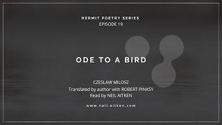 Hermit Poetry E019  quotOde to a Birdquot by Czeslaw Milosz [upl. by Prue]