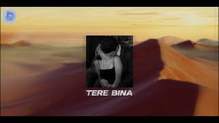 TERE BINA  Shreea Kaul  Slowed amp Reverb  Viral Instagram Song [upl. by Chelton]