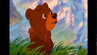 On My Way Brother Bear HD [upl. by Nosro946]