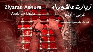 Ziyarat Ashura Arabic  Urdu  عربی  اردو زیارت عاشوراء [upl. by Austin]